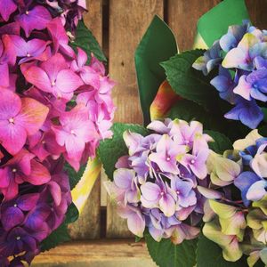 Image post by @shopbachmans on Instagram