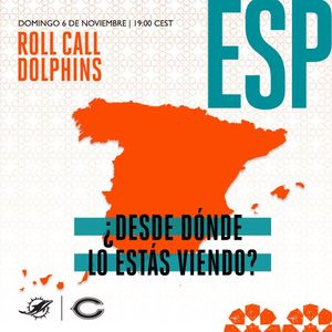 Image post by @dolphins_esp on Instagram