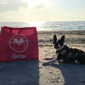 Image post by @qoqa_schweiz on Instagram