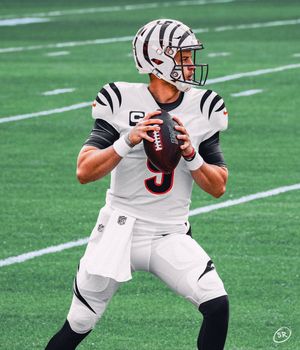 Image post by @Trevor_Pitt on Twitter