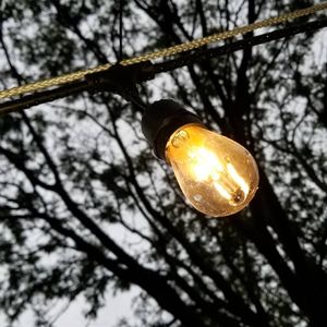 Image post by @islamdaghestani on Instagram