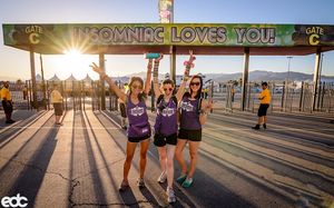Image post by @edc_lasvegas on Instagram