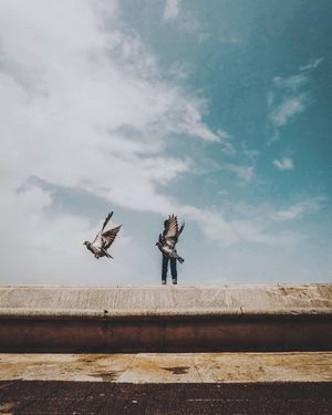 Image post by @instagram on Instagram