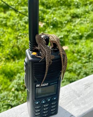 Image post by @nationalparkservice on Instagram