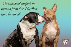Image post by @LiveLikeRoo on Facebook