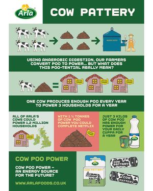 Image post by @arladairyuk on Instagram
