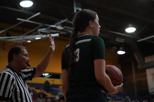 Image post by @laubhan.visuals on Instagram