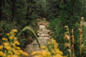 Image post by @visitpikespeak on Instagram
