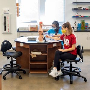Image post by @umsl on Instagram