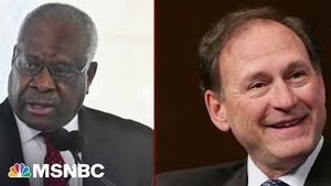 Video post by @msnbc on YouTube