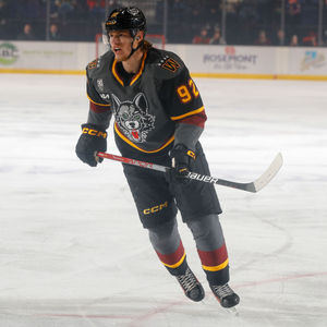 Image post by @chicagowolves on Instagram