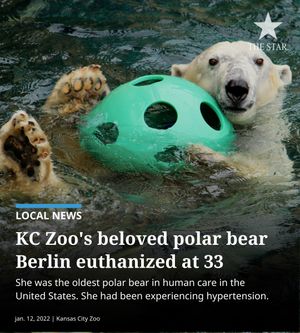 Image post by @thekansascitystar on Instagram