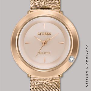 Image post by @citizenwatchus on Instagram