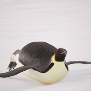 Image post by @white.desert.antarctica on Instagram