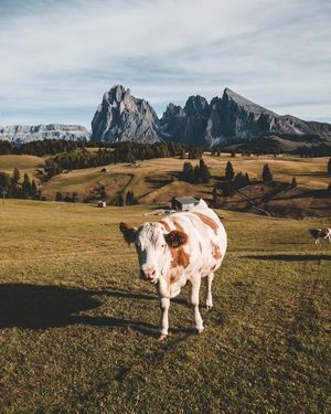 Image post by @moment on Instagram
