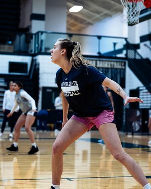 Image post by @msubobcatswbb on Instagram