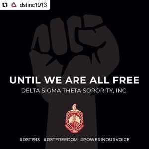 Image post by @aacdst on Instagram