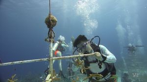 Image post by @vanderbiltu on Instagram