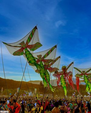 Image post by @nocturnalwland on Instagram