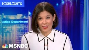 Video post by @msnbc on YouTube