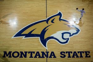 Image post by @montanastatebobcats on Instagram