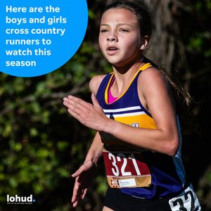 Image post by @lohudsports on Instagram