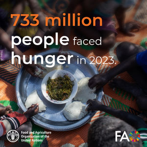 Image post by @unitednations on Instagram