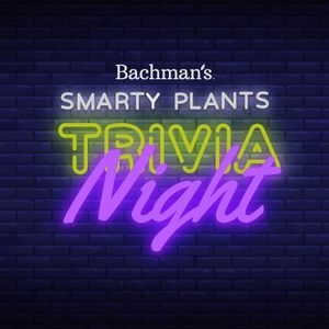 Image post by @shopbachmans on Instagram