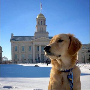 Image post by @iowaadmissions on Instagram