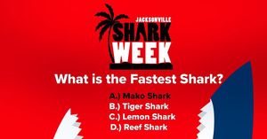Image post by @jaxsharks on Instagram