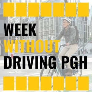 Image post by @pogohbikes on Instagram