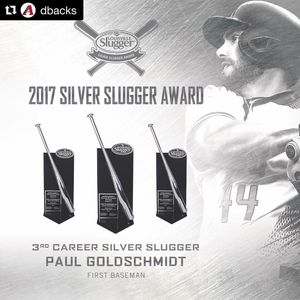 Image post by @gopaddleheads on Instagram