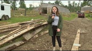 Video post by @meredithstruewing on YouTube