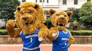 Image post by @hofstrau on Instagram