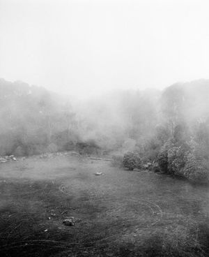 Image post by @bycorrigan on Instagram