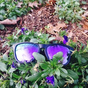 Image post by @faroutsunglasses on Instagram