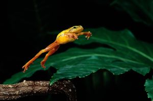 Image post by @animalplanet on Instagram
