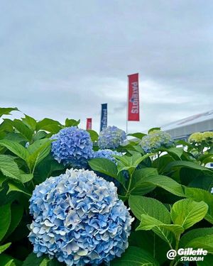 Image post by @gillettestadium on Instagram