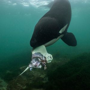 Image post by @natgeo on Instagram