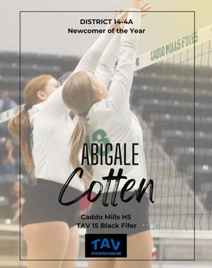 Image post by @tavvolleyball on Instagram