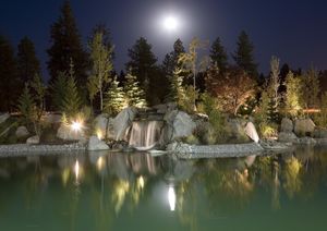 Image post by @alderwoodlandscaping on Instagram