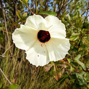 Image post by @brittany__rivas on Instagram