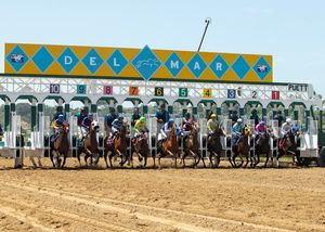 Image post by @thebloodhorse on Instagram