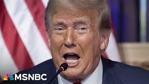 Video post by @msnbc on YouTube