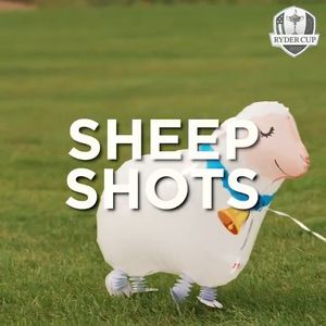 Video post by @rydercupusa on Twitter