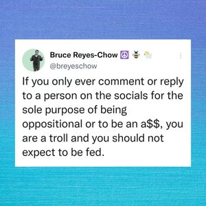 Image post by @breyeschow on Instagram