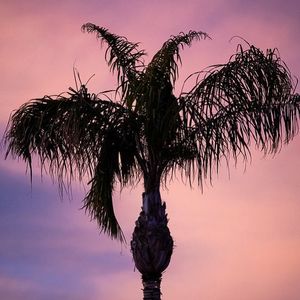 Image post by @azfreepressman on Instagram