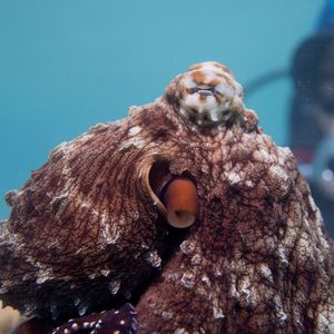 Image post by @natgeotv on Instagram