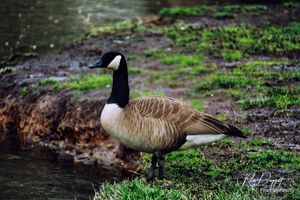 Image post by @rileydaggettcreative on Instagram