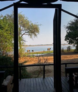 Image post by @chiawasafaris on Instagram